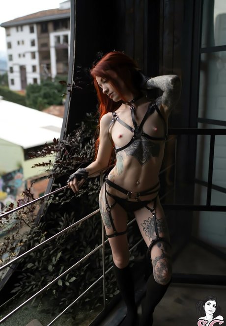 zarawolf nude actress galleries