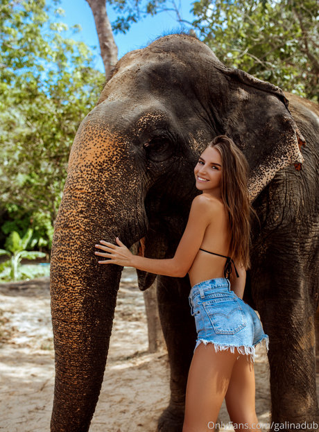 Galina Dub model high quality archive