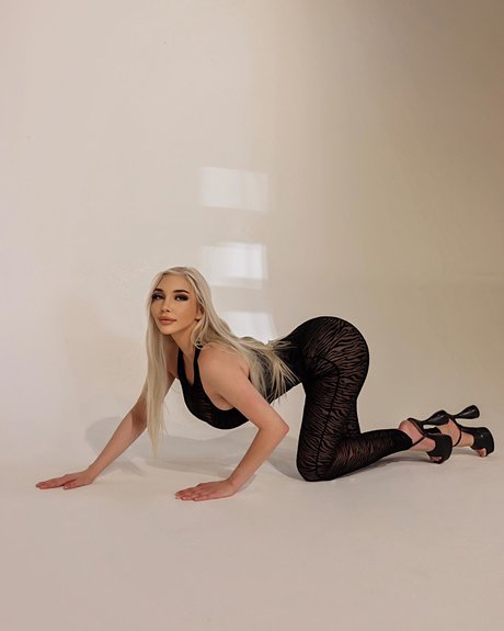 Brooke Michelle pornstar high quality image