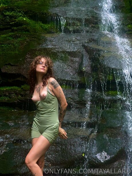 Tayallard star erotic archive