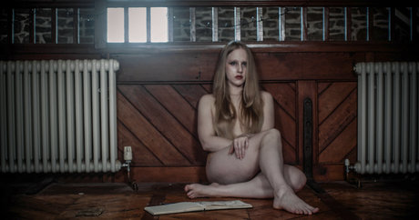 Lucy Musings art star photos