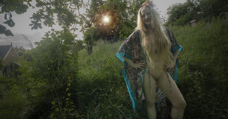 Lucy Musings star beautiful galleries