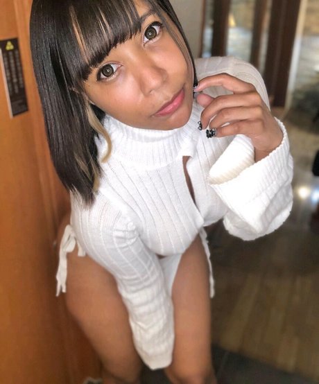 Arijapan model top img