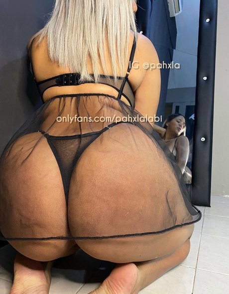pahxlalabi pornstar adult galleries