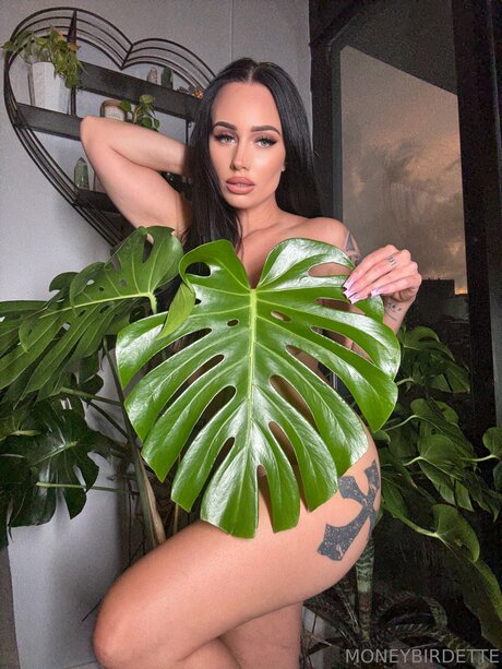 Moneybirdettevip naked actress photos