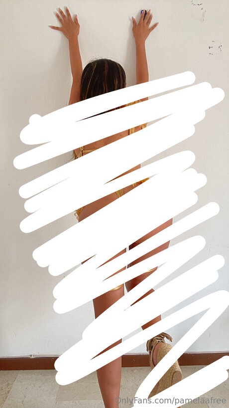 Pamelaafree pornstar adult photo