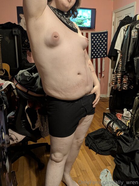 Ally Wren nudes star photo