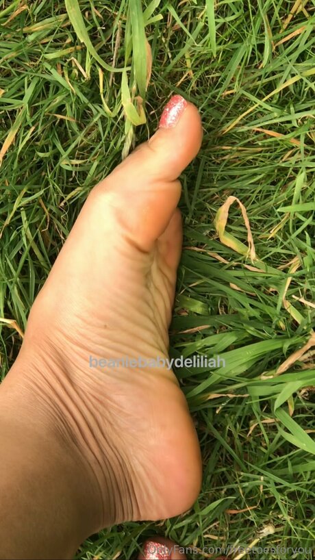 Freetoesforyou star top image
