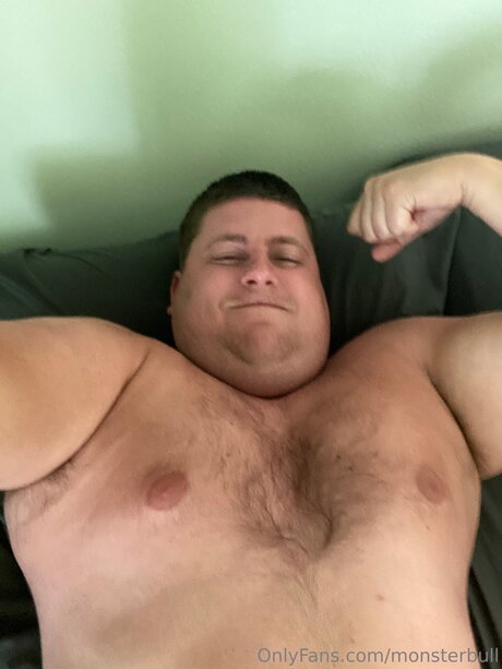 Thebulkinghog profile image