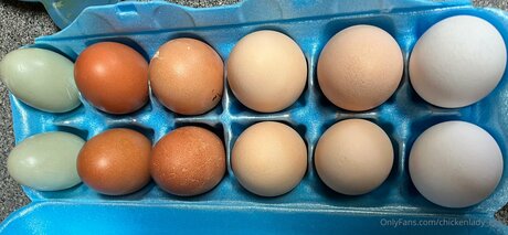 Chickenlady Eggs model hd gallery