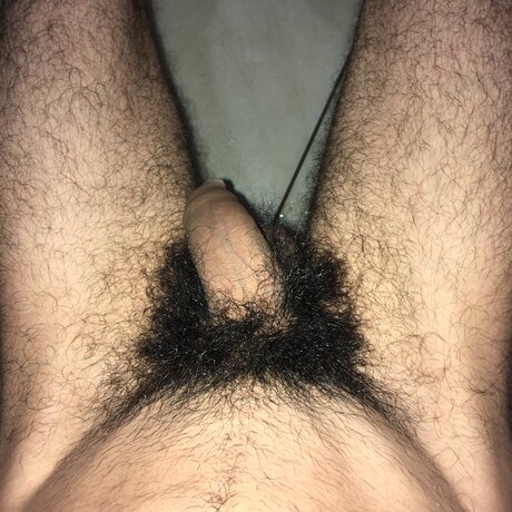 Calsiffer pornstar art photo