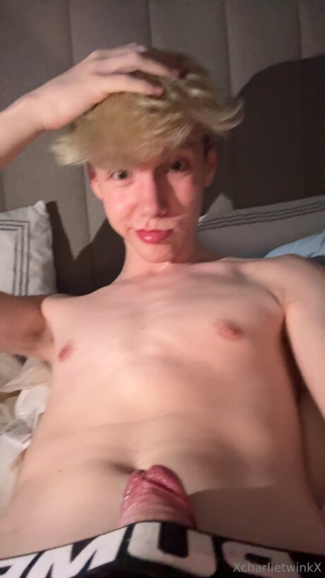 Xcharlietwinkx star nude photos