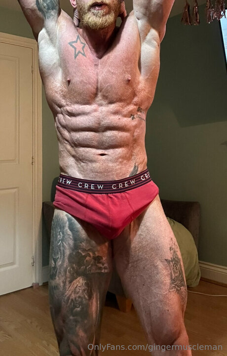 Gingermuscleman star high quality galleries