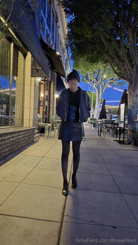 Thewifevo art pornstar pictures