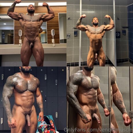 Gymzaddyvenom best model gallery