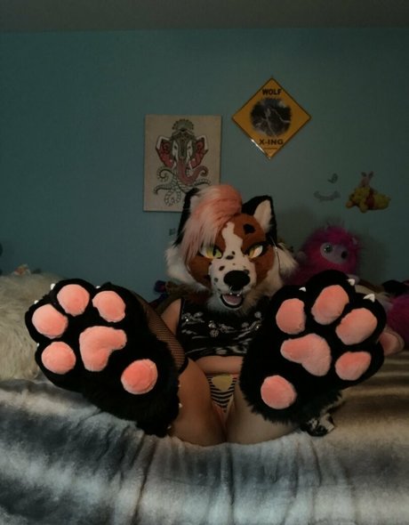asian findom onlyfans free sexy pictures