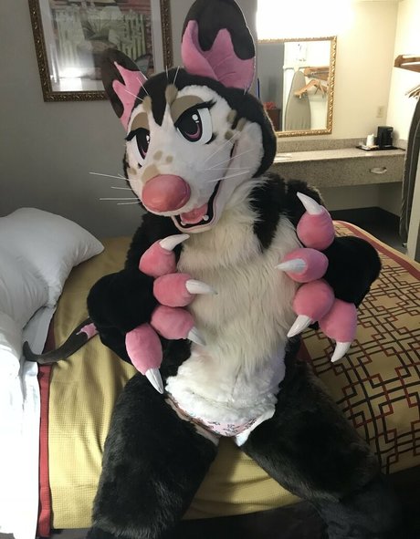 fox anatomy beautiful pornstar img