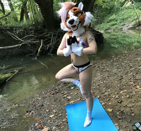 fox anatomy pretty pornstar images