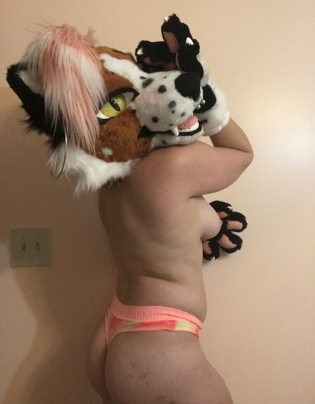 fox anatomy perfect star photo