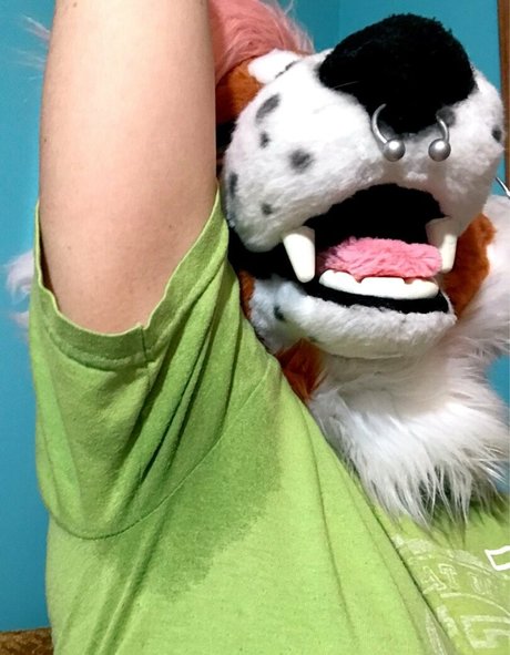 fox anatomy pornstar pretty pic