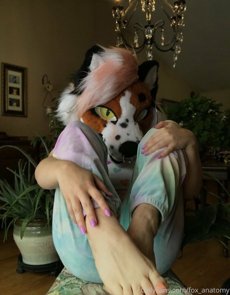 fox anatomy sex pornstar pictures