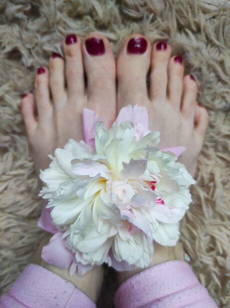 Goddessblondiefeet porn star gallery