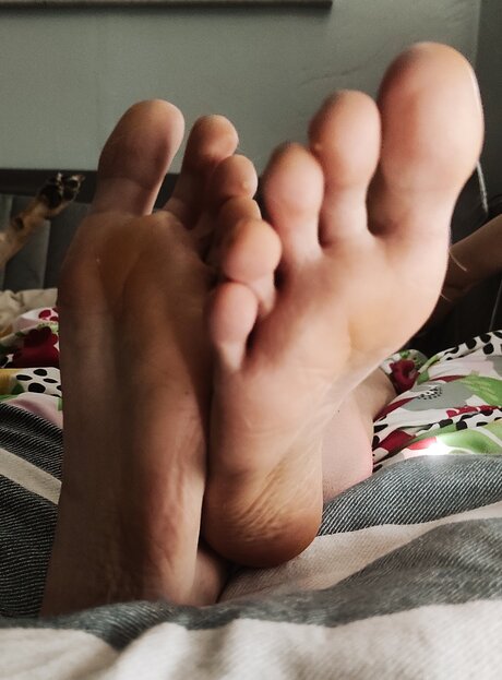 Goddessblondiefeet free pornstar image