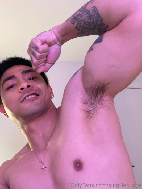 King Leo Ace pornstar perfect gallery
