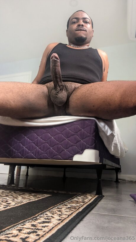 bbw blowjob onlyfans free sex picture