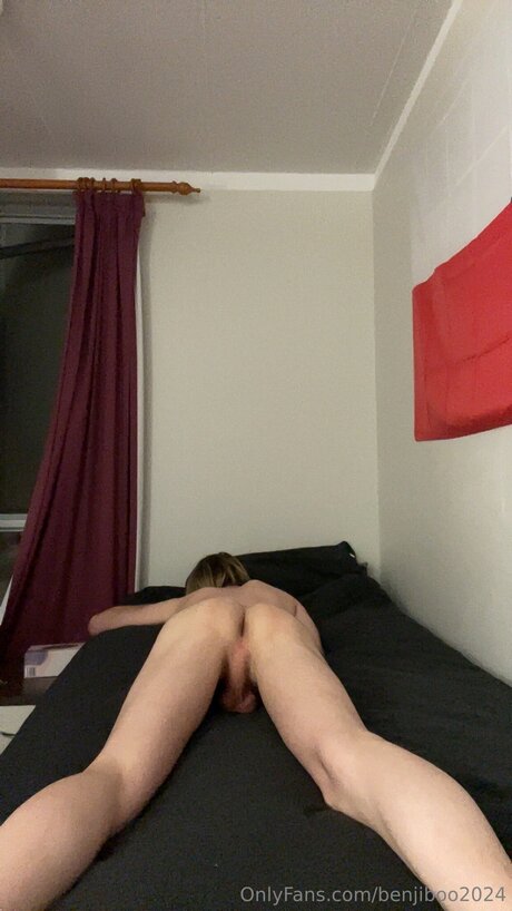 Benjiboo2024 high quality pornstar image
