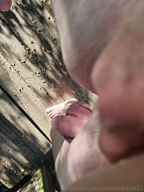 Smalldickchub12 pornstar top image