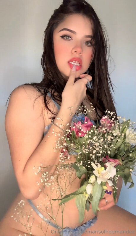 Marisolheernandez sex actress images