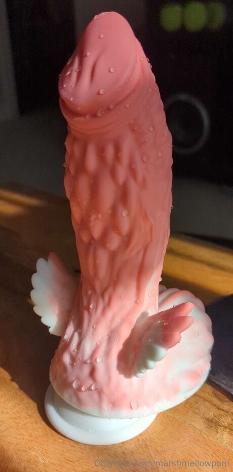 Marshmellowponi pornographic star picture