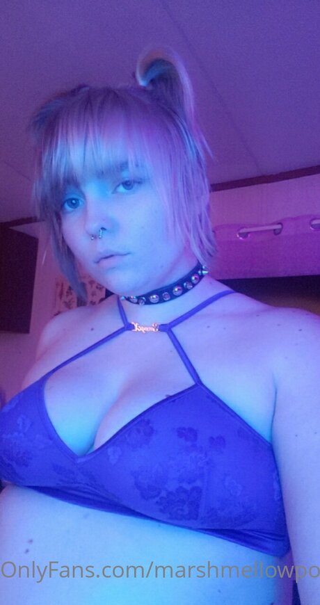 Marshmellowponi adult star img