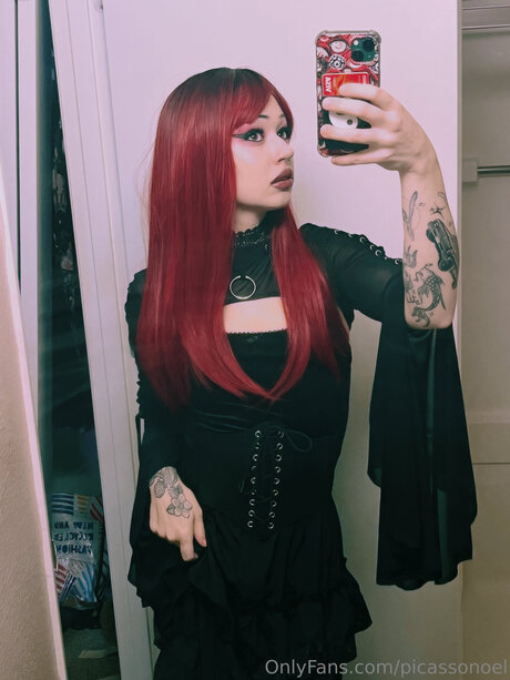Picassonoel pornstar art galleries