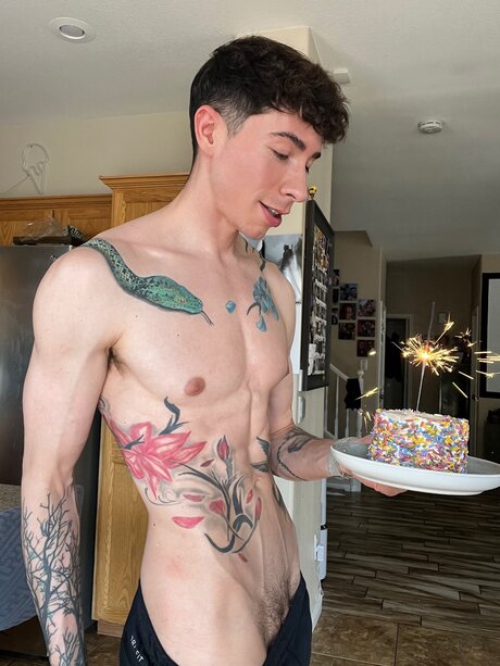 Vincentoreillvppv star adult pics