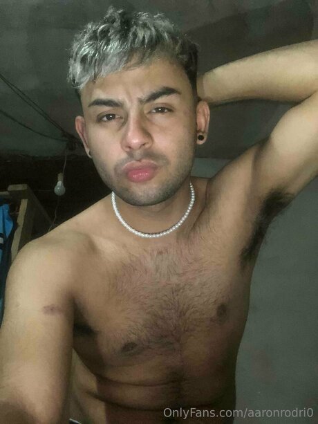 Aaronrodri0 model art pics
