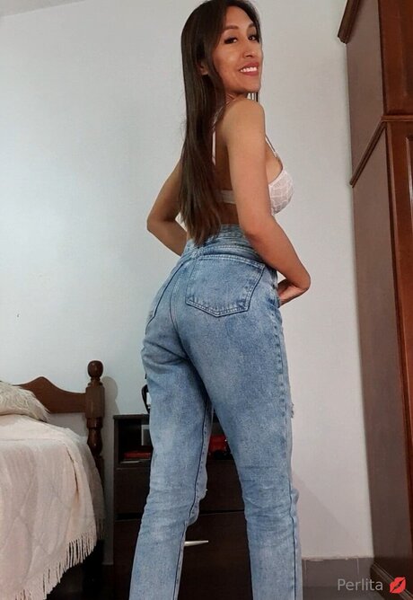 Perlita560 model art images