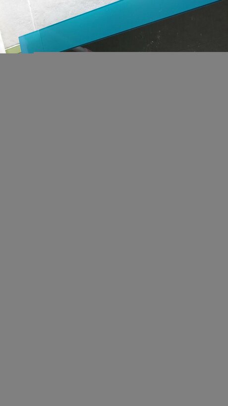 Franzax model adult img