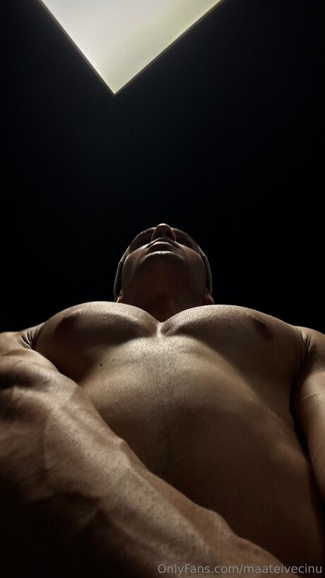 Maateivecinu nude model image