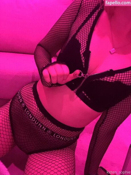 Kitten Kira star adult photo