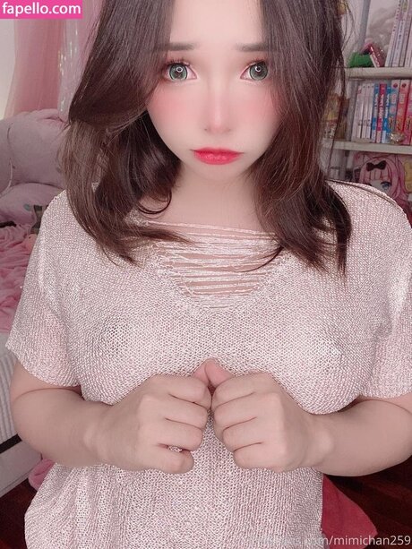 mimichan259 best model img