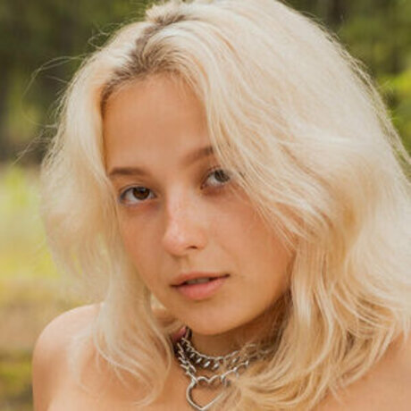 Lily Vei star perfect img