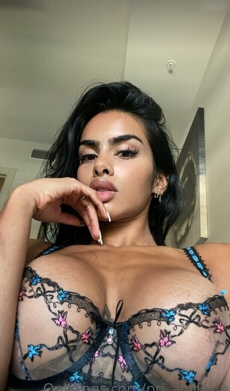 Priscilla Aqilla pornstar erotic gallery