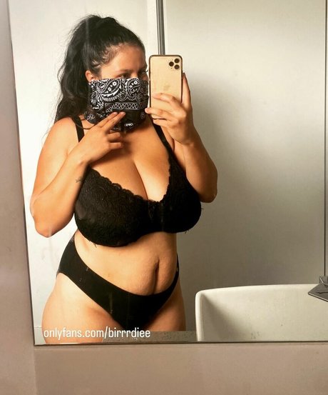 mzbirrrdiee star beautiful images