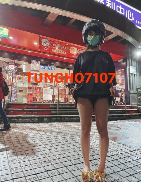 Tungho7107 model nice galleries