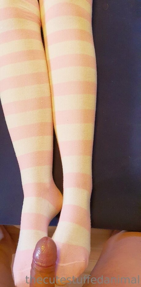 thecutestuffedanimal star hot galleries