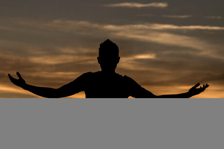 ANGELUS star pics