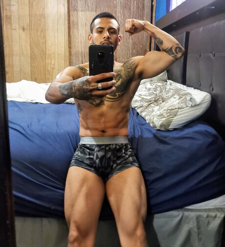 Paul Arista pornstar art galleries