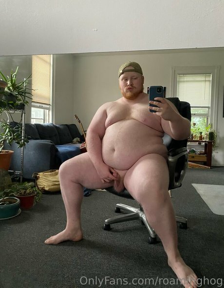 roaminghog sex model pic
